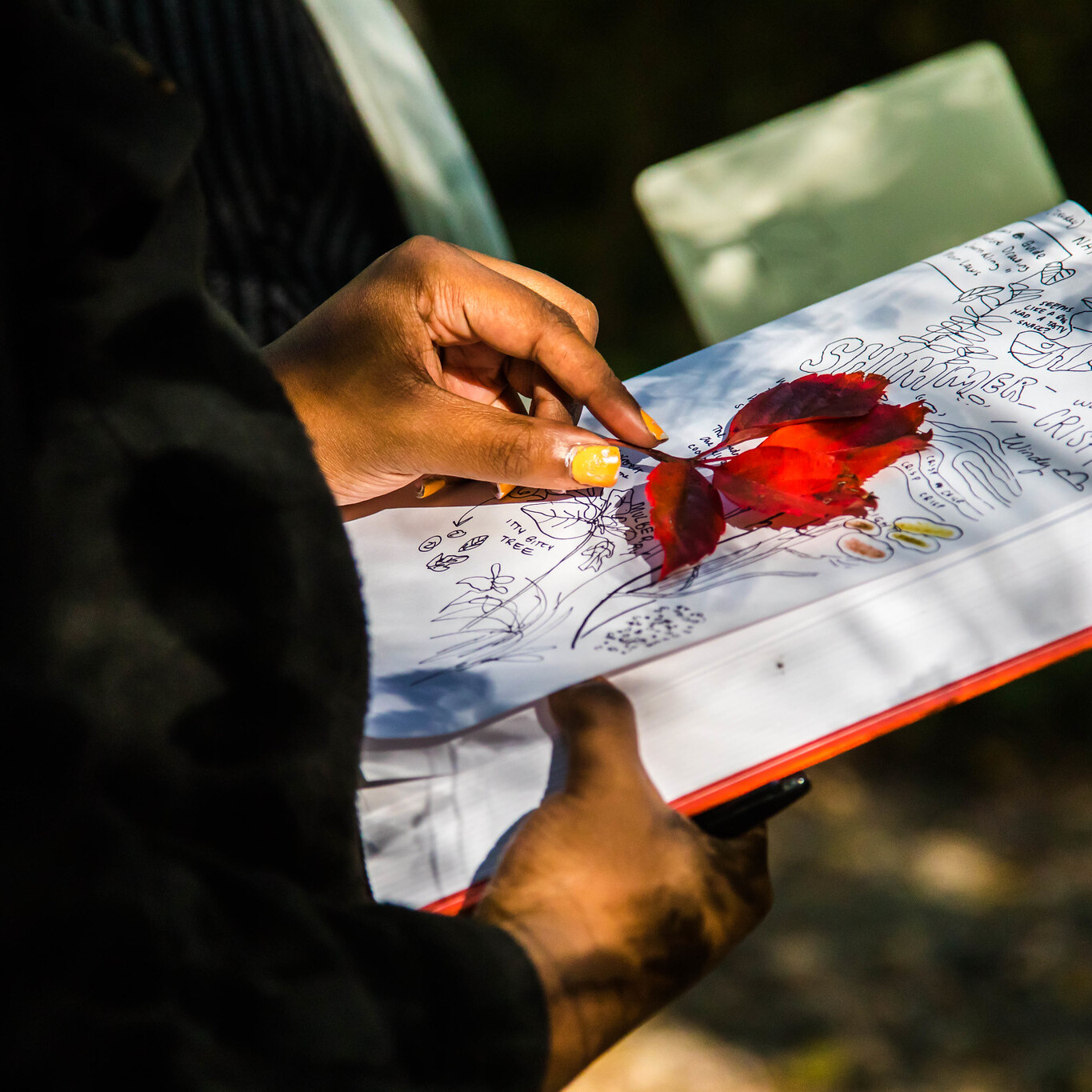 Winter Nature Journaling - logo